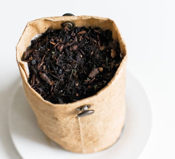 Organic Composting: Turning Waste into Gardening Gold