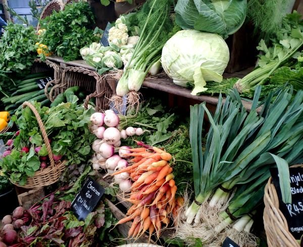 Organic Vegetables: The Wholesome Harvest from Nature’s Bounty